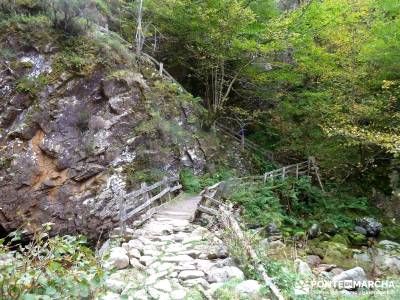 Hayedos Parque Natural de Redes;la bola del mundo los ancares viajes fin de año